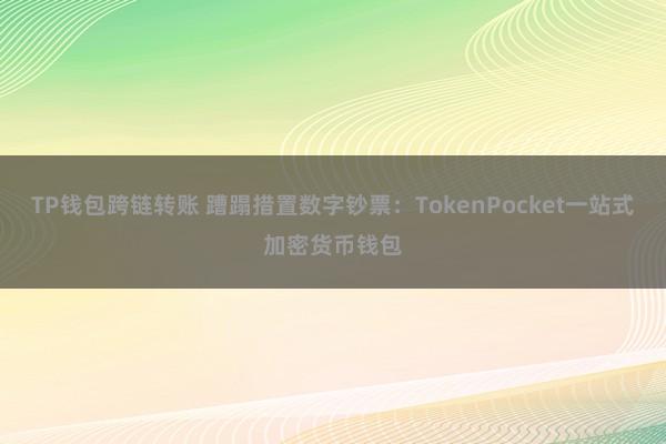 TP钱包跨链转账 蹧蹋措置数字钞票：TokenPocket一站式加密货币钱包