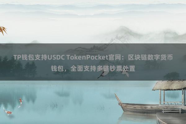 TP钱包支持USDC TokenPocket官网：区块链数字货币钱包，全面支持多链钞票处置