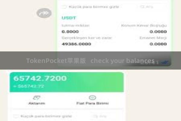 TokenPocket苹果版   check your balances